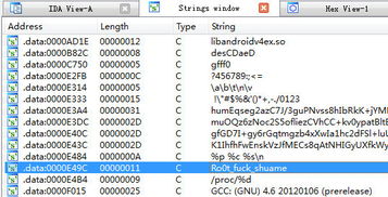 創造“殺毒神獸” 從毒師到網絡安全的技術轉型